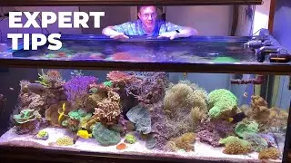 Tips & Tricks Unknown for Reef Keeping - Marc Levenson