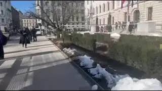 Bombni preplah pred sodiščem v Ljubljani