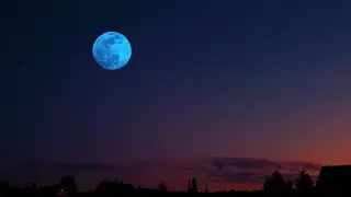 Blue Moon Rising August 2021