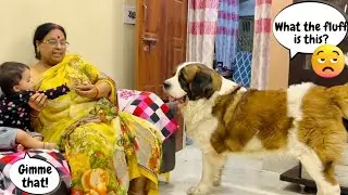 Tyzuu’s funny reaction when he saw Mishti’s little toys😂