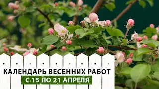 Подсказка для всех садоводов! Что нужно сделать в саду в апреле? Выбираем препараты от вредителей