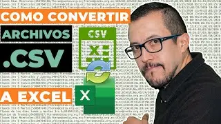 Cómo pasar un archivo CSV a EXCEL