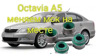 Octavia A5 1.6 меняем маслосъемные колпачки на месте