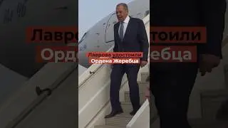 Троллинг из Африки: Лавров получил Ордена Жеребца