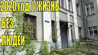 2020 ГОД //ЖИЗНЬ БЕЗ ЛЮДЕЙ //ЗАБРОШКИ В Москве / Раздаю своих КОТЯТ! Готовлю//Что я ем