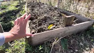 Октябрь Что за ямы во дворе Уволилась с работы