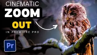 How to Have a Cinematic ZOOM OUT in Premiere Pro
