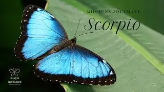 An abrupt exit toward Twin Flame partner, SCORPIO Mid-June Soulmate