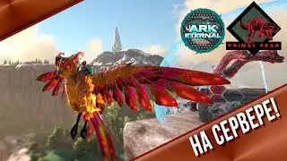 ETERNAL PRIMAL Проверка Боссов и Развитие в Праймлфире 