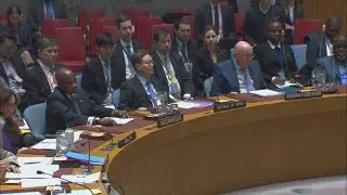 UN Security Council passes Gaza cease-fire proposal drafted by US