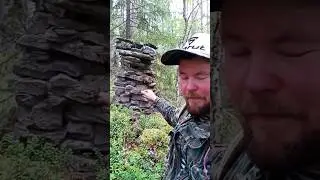 НЕОЖИДАННАЯ НАХОДКА В ЛЕСУ. 