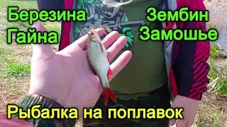 Рыбалка на Березине. Рыбалка на поплавок. Рыбалка 2023