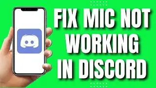 How To Fix Mic Not Working On Discord Mobile (Quickly 2023)