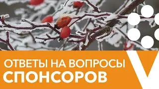 Прямой эфир со спонсорами канала 08.12.2020