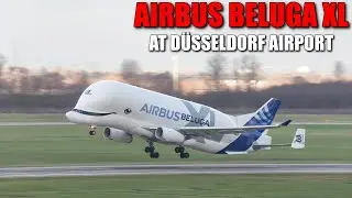 [RARE VISITOR AT THE AIRPORT!] - Airbus Transport International Airbus A330-743L Beluga XL (F-GXLI)