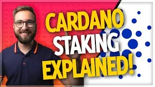 Cardano Staking Explained by Cardano Stake Pool Operators!