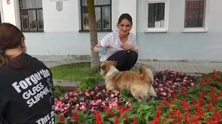 Акция 