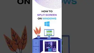 How To Split Screen on Windows? 