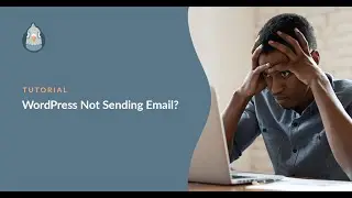 How to Fix WordPress “Not Sending Emails” Issue? - Hostinger