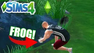 How To Get Frogs (Find, Catch And Collect Frogs) - The Sims 4