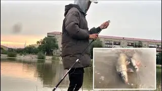 Көктемгі сазан аулау | Закидушкаға балық аулау | Рыбалка атырау