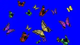 green screen butterfly effect video|| blue screen effect butterfly effect