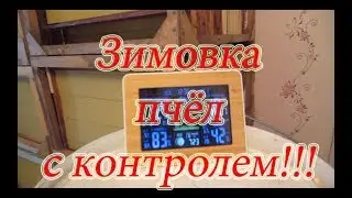 КАК ЗИМУЮТ ПЧЁЛЫ В ФЕВРАЛЕ  МЕТЕОСТАНЦИЯ ДЛЯ ЗИМОВНИКА🔥🔥🔥