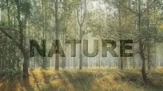 How to Create Cool Transparent Text Effect using GIMP | Photoshop Alternative | #30