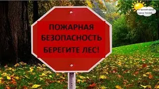 Пожарная безопасность. Берегите лес. Охрана труда