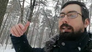 Отдых на свежем воздухе: Прогулка по лесопарку, снежная погода