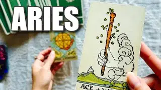 ARIES 