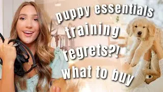 NEW PUPPY ESSENTIALS | Everything We Bought + How We Trained Our Golden Puppy!