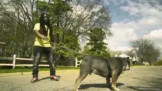 GrindHard E - Dog & A Stick [Instrumental Remake](ReProd. By YBN Versace)