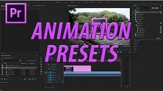 How to Create Animation Presets in Adobe Premiere Pro CC (2017)