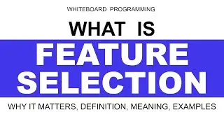 What is Feature Selection in Machine Learning Explained For Beginners (With Examples)