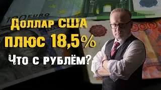 Доллар США - плюс 18,5%. Что с рублём?