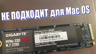 НЕ ПОДХОДИТ для Mac OS, m2 SSD Gigabyte GP GSM2NE3256GNTD