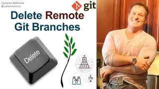 Git Delete Remote Branch Example