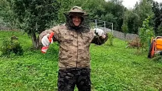 В доме завелись осы, а мы собираем шкаф