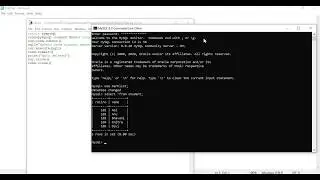 PyMySQL(Python MySQL)- Delete data from database