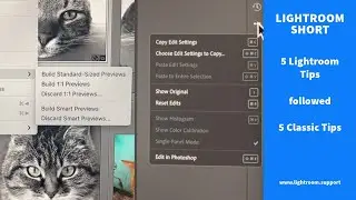 Lightroom features you should know about followed by 5 Classic Develop Tips you should know