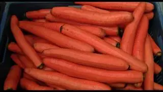 Машина для чистки моркови Sormac UP 8000