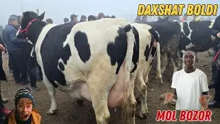 Bunaqasi Kam Boladi Daxshat Buvayda Yangiqo'rg'on Mol Bozori 😱