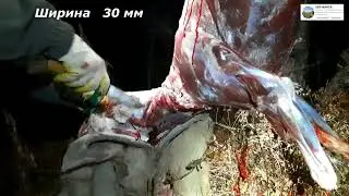 Вести с полей от канала    