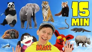 Asian Wild Animals Long with Matt | Dream English Kids