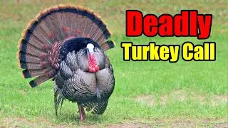 #1 Deadly Turkey Call!  - Turkey Hunting Tips