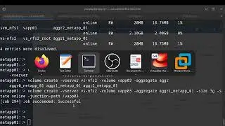 ONTAP - Configure and verify NFS client access to an SVM with command line