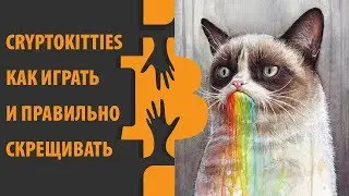 Cryptokitties – крипто котики, как играть?