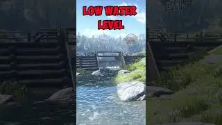 RDR2 - 5 random details missed by players in RDR2 Part 65 