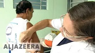 🇧🇷 Brazil: Millions vaccinated after yellow fever outbreak